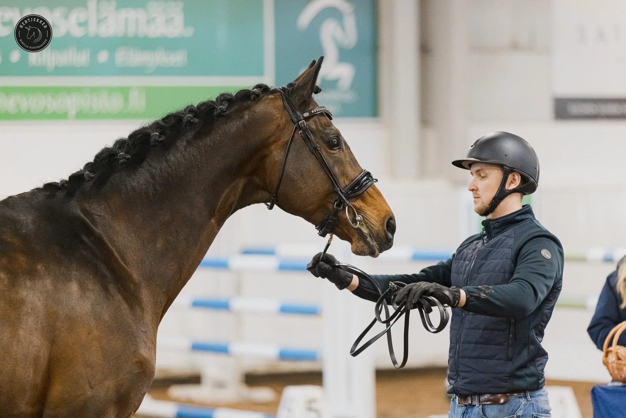 Horse training background